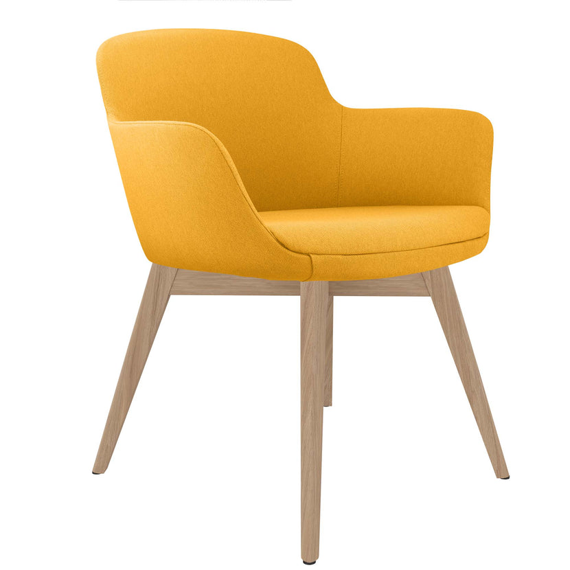 DANAE Fauteuil salon | Cadre Esche-Ech-Wood, Tabrics de référence Lucia / Velito / Synergy
