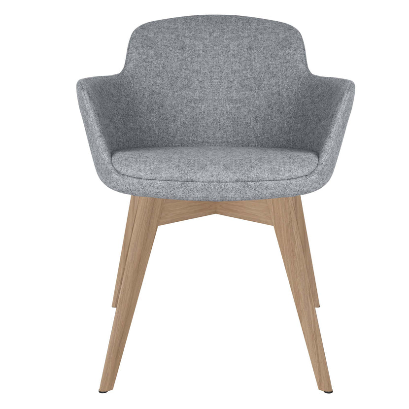 DANAE Fauteuil salon | Cadre Esche-Ech-Wood, Tabrics de référence Lucia / Velito / Synergy