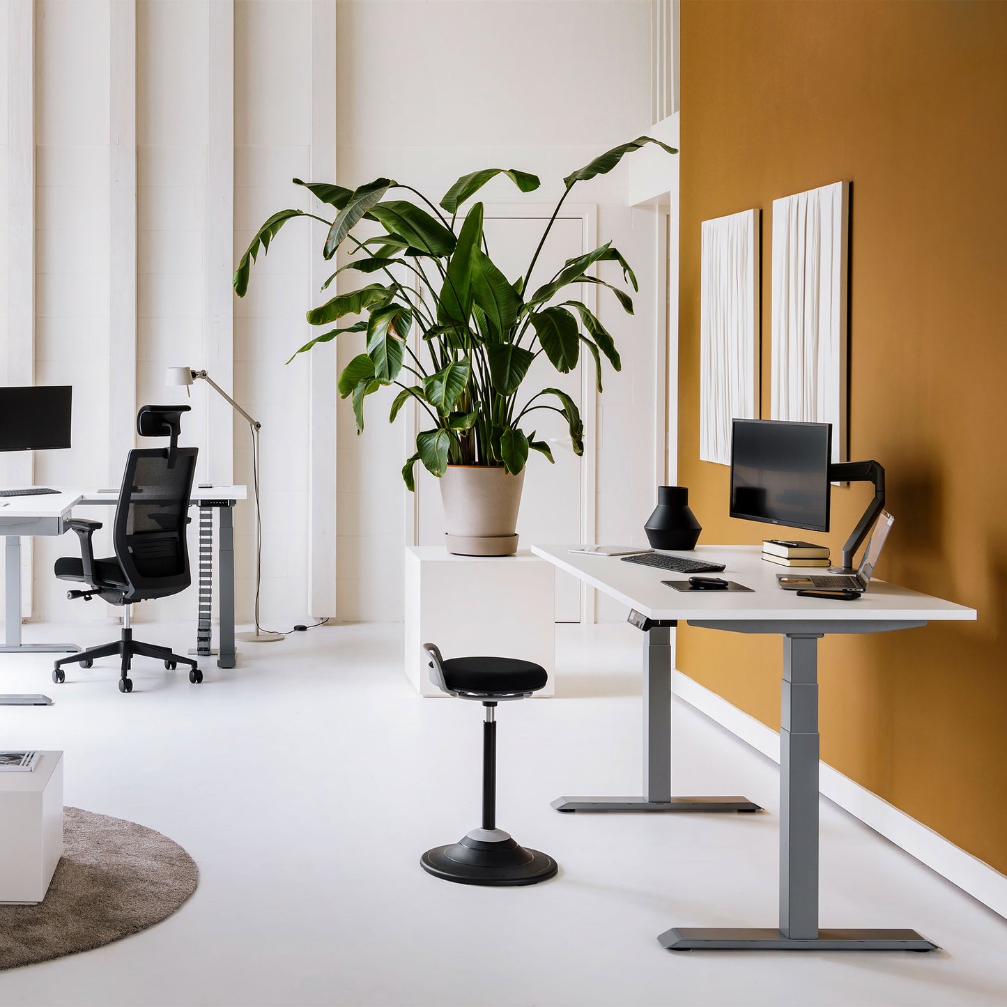 MASTER Monitor Holder | Gas Spring Support, 148-445 mm