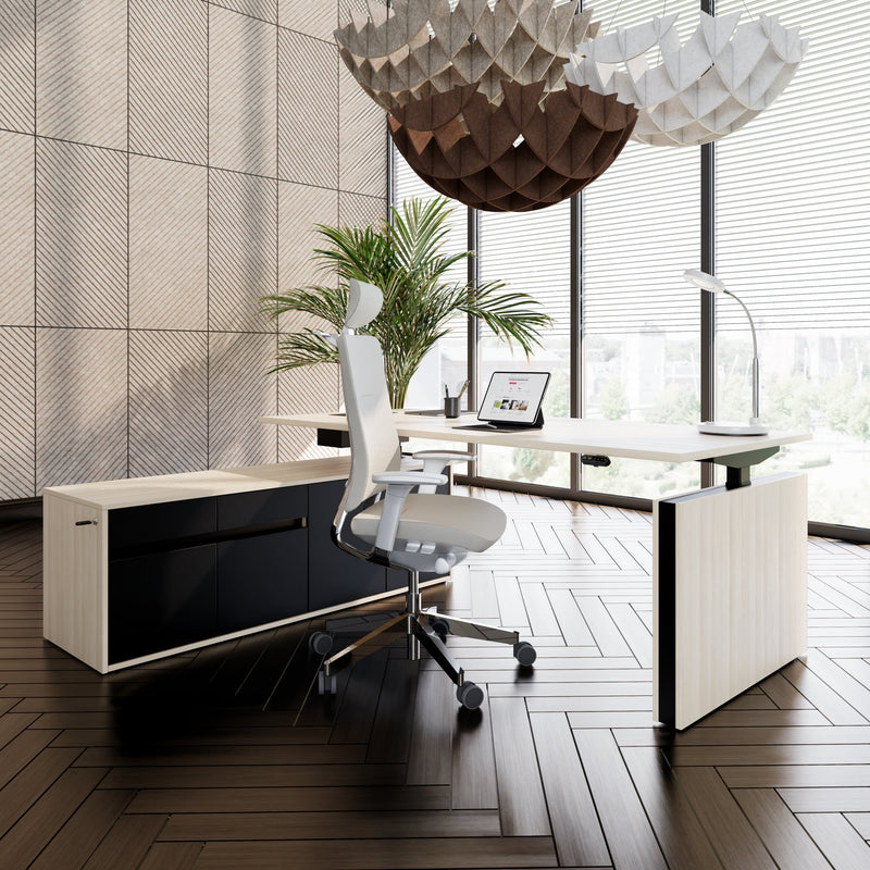 MOTION 2-Motoren-Schreibtisch mit Sideboard | Elektrisch höhenverstellbar, 2000 x 1800 mm, Sandesche - 14 Main Image