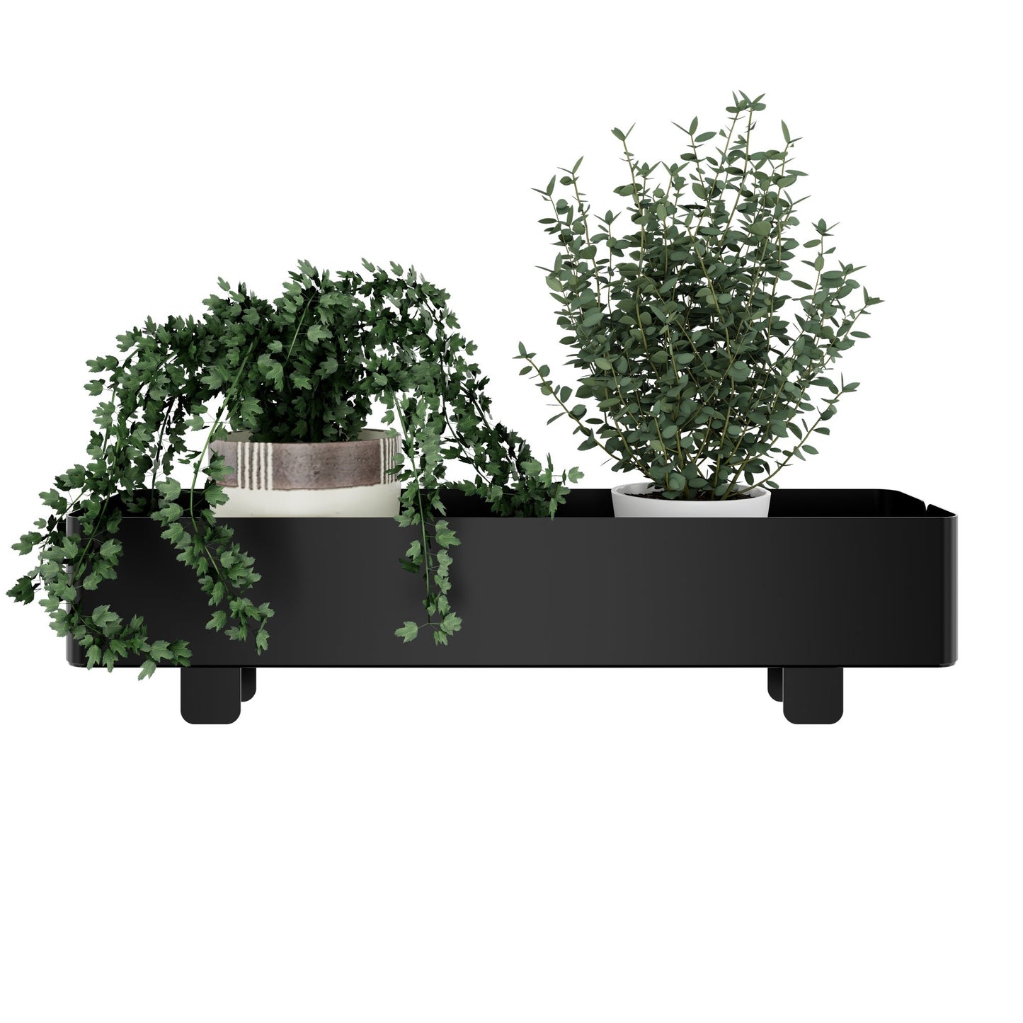 NOVA WOOD Multipurpose Pflanzkasten | 600 x 100 mm