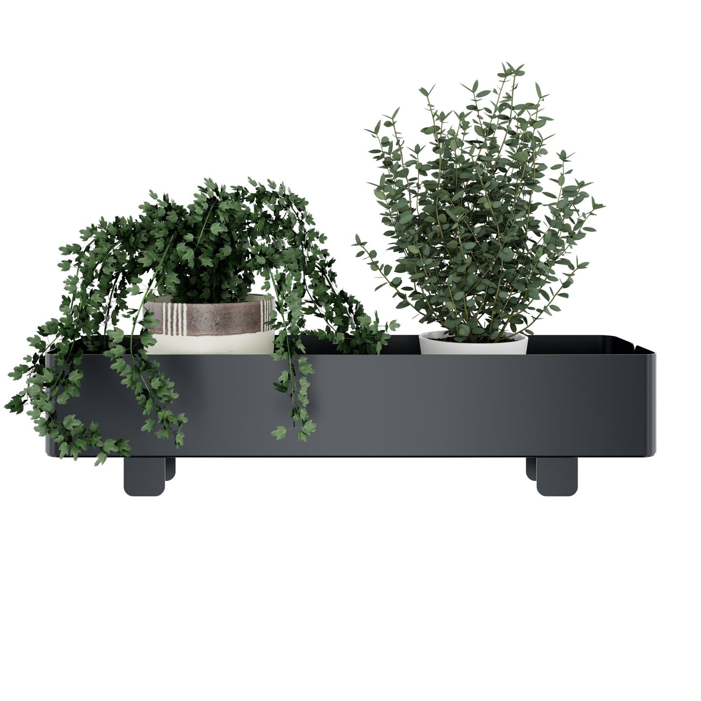 NOVA WOOD Multipurpose Pflanzkasten | 600 x 100 mm