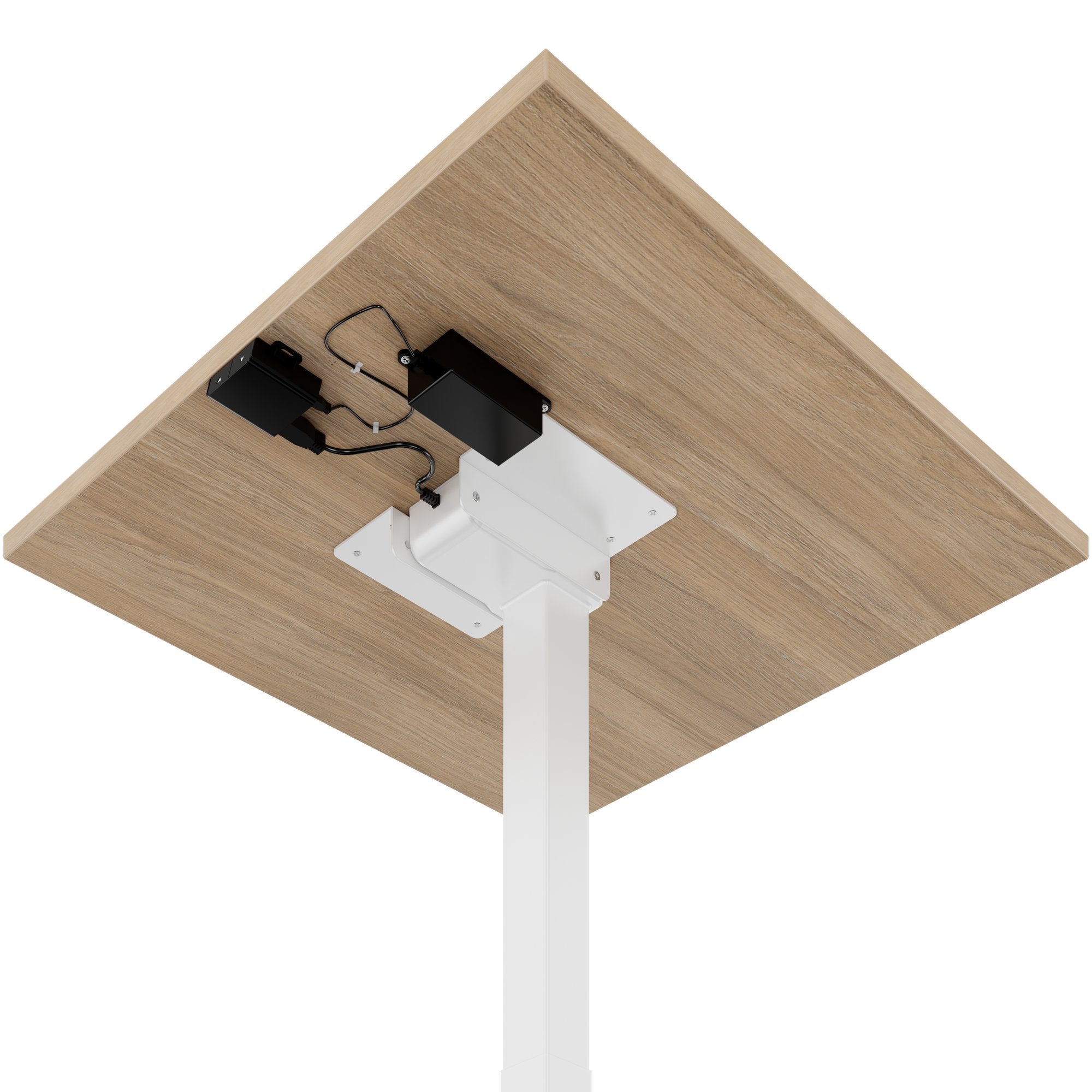 OPTIMA Tabella delle riunioni su | 800 x 800 mm, regolabile in altezza elettricamente, quercia ambra