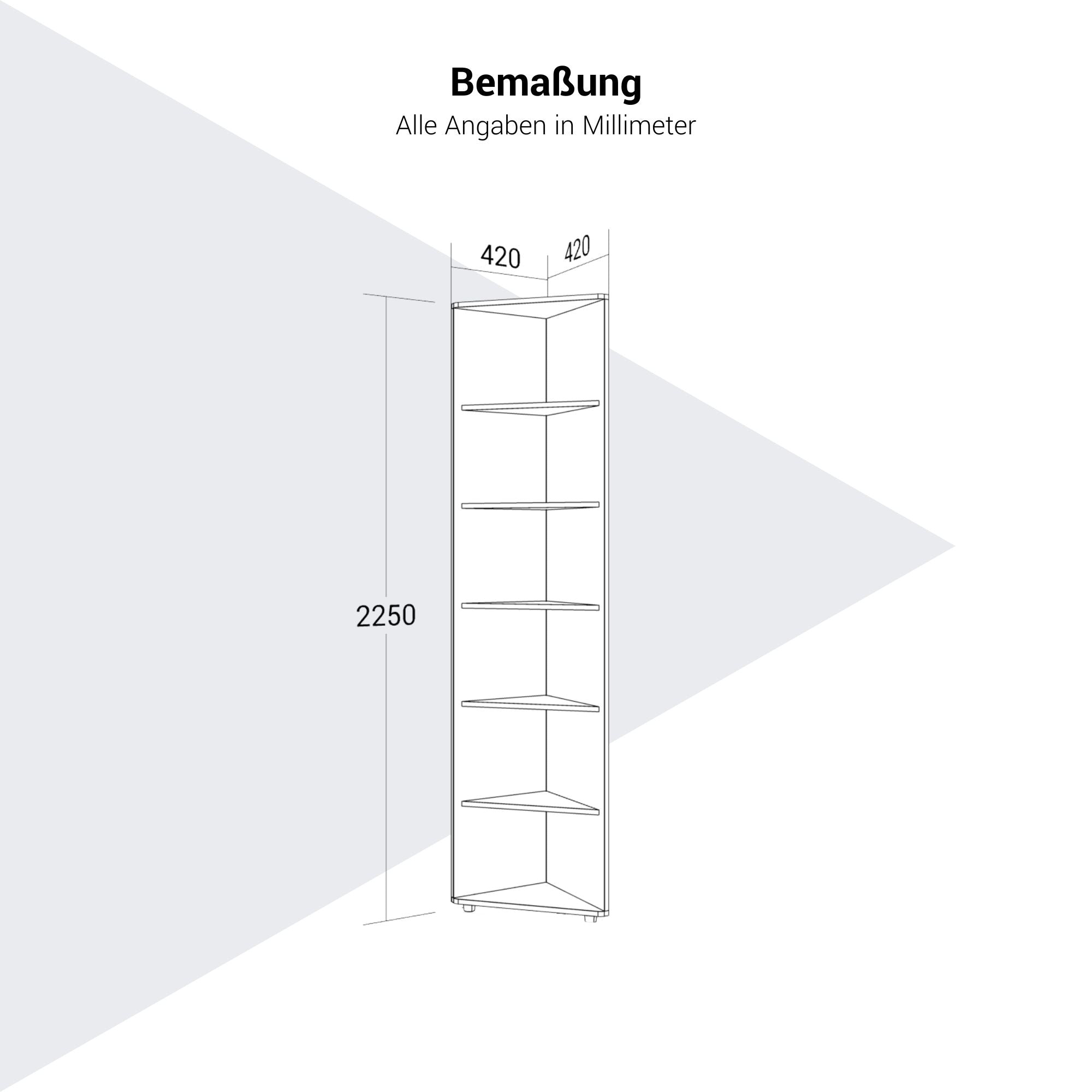 PRO Scaffale d'angolo | 6 OH, 420 x 2250 mm