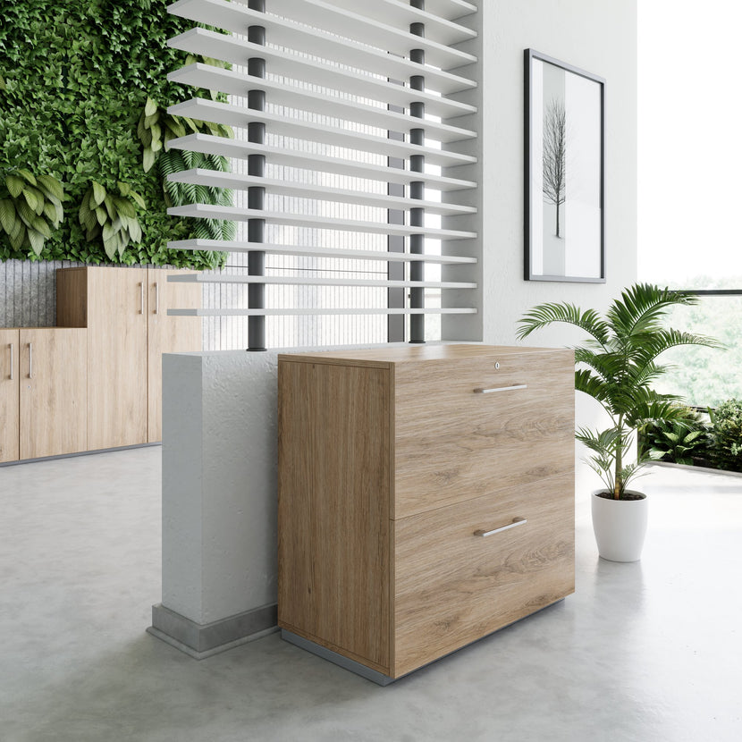 PRO Topping register cabinet | 2 Oh, 800 x 770 mm, glued corpus, natural oak