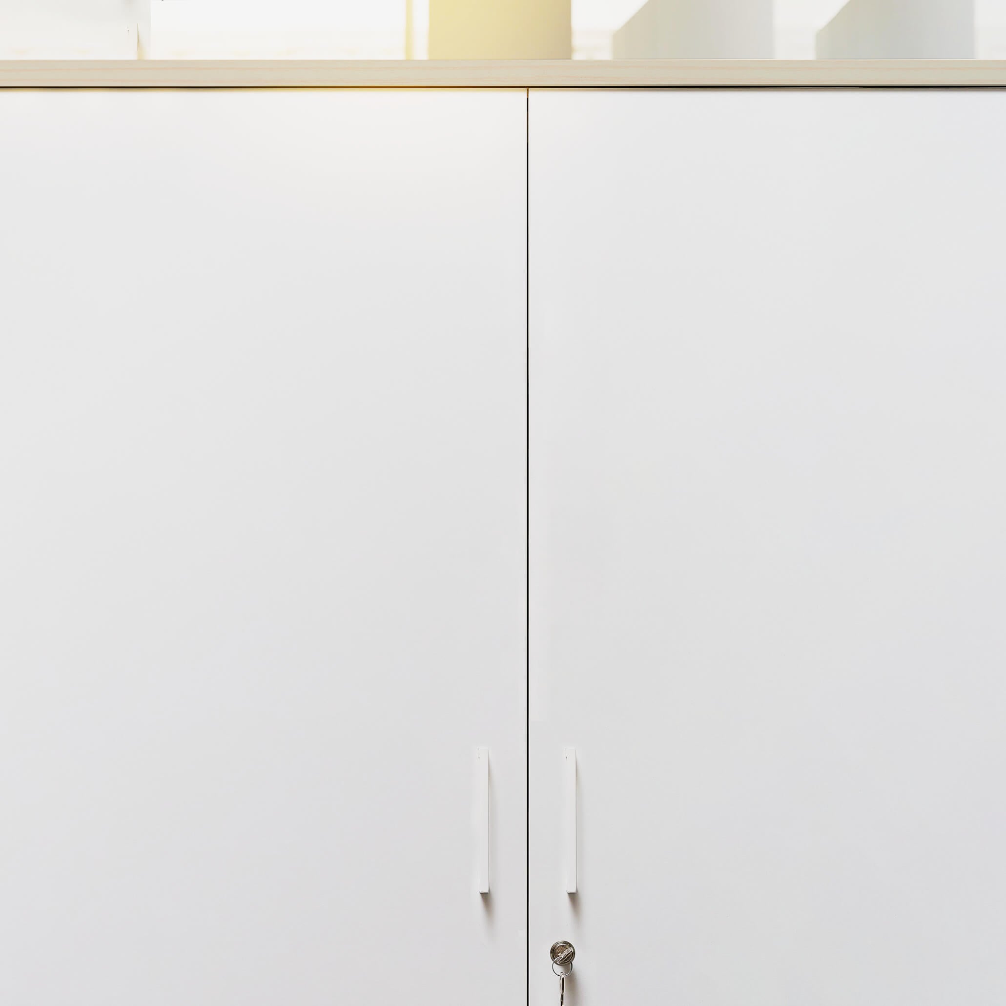 UNI Armoire de porte d'aile | 5 oh, 800 x 1897 mm, érable / blanc