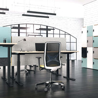 ACTIVE Scrivania | Regolabile elettricamente in altezza, 1800 x 800 mm, acero
