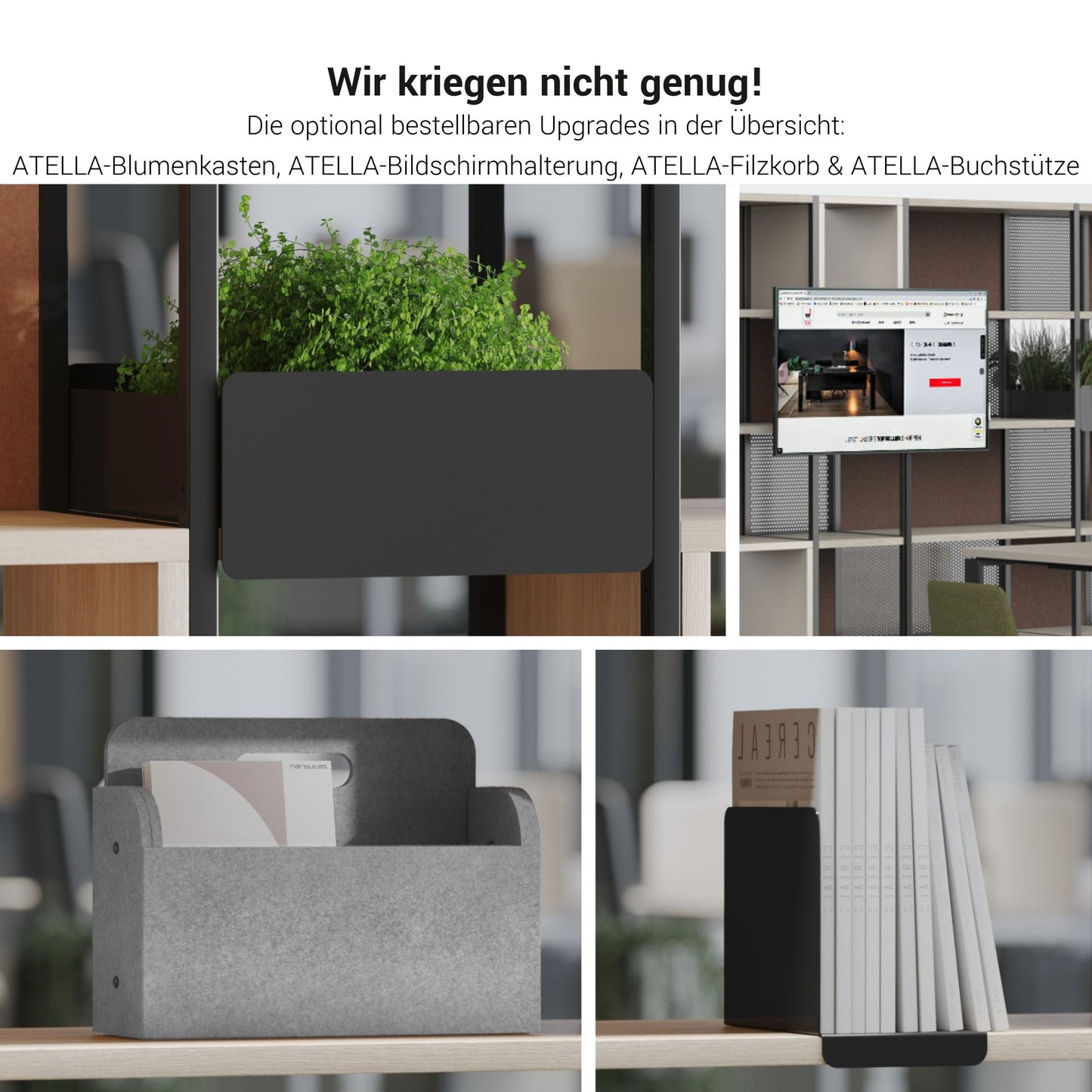 CHOICE Regalschrank | 4 OH, 800 x 1545 mm, Blumenkasten, Bernsteineiche