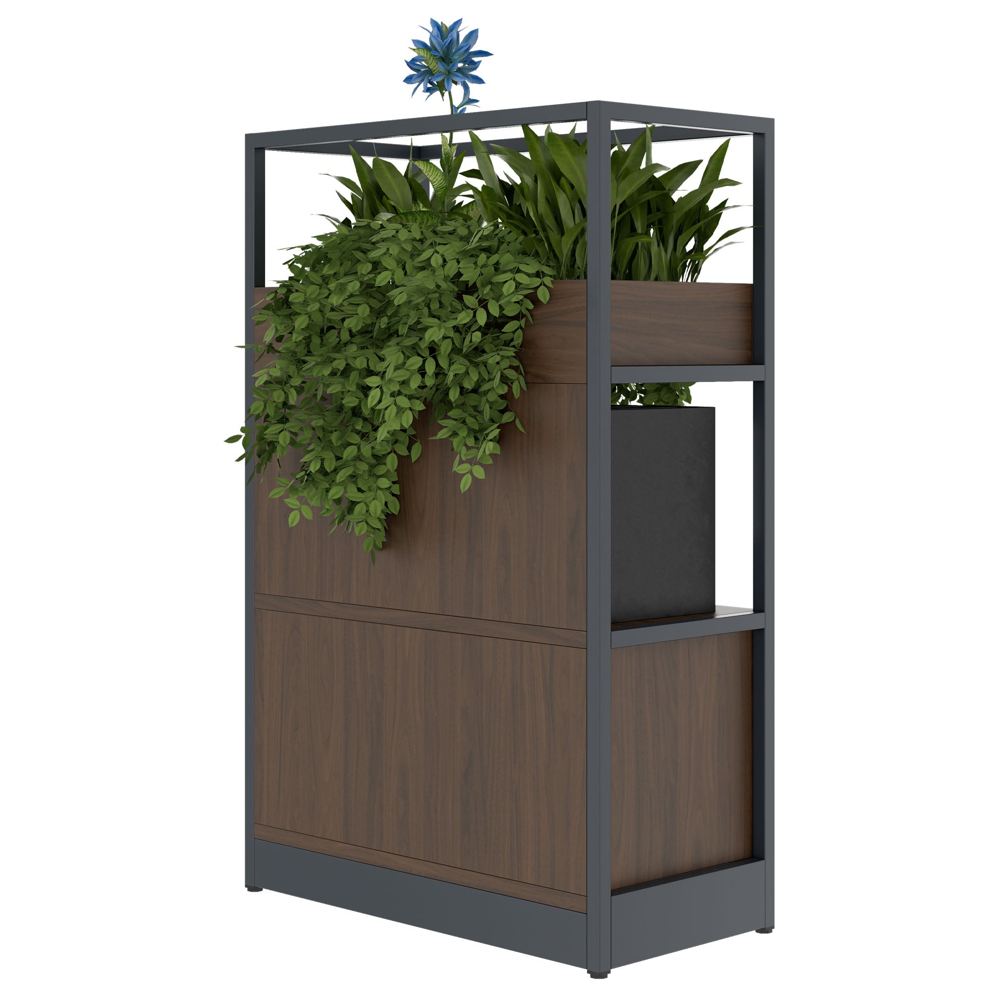 ATELLA shelf cabinet | 3 OH, 800 x 1255 mm, walnut