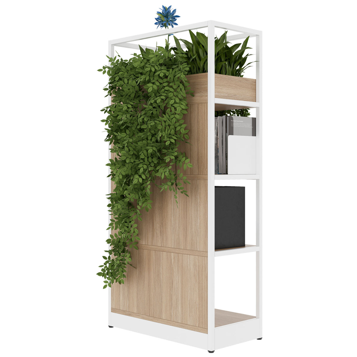 ATELLA Regalschrank | 4 OH, 800 x 1610 mm, Bernsteineiche - 4 Lightbox Main Image