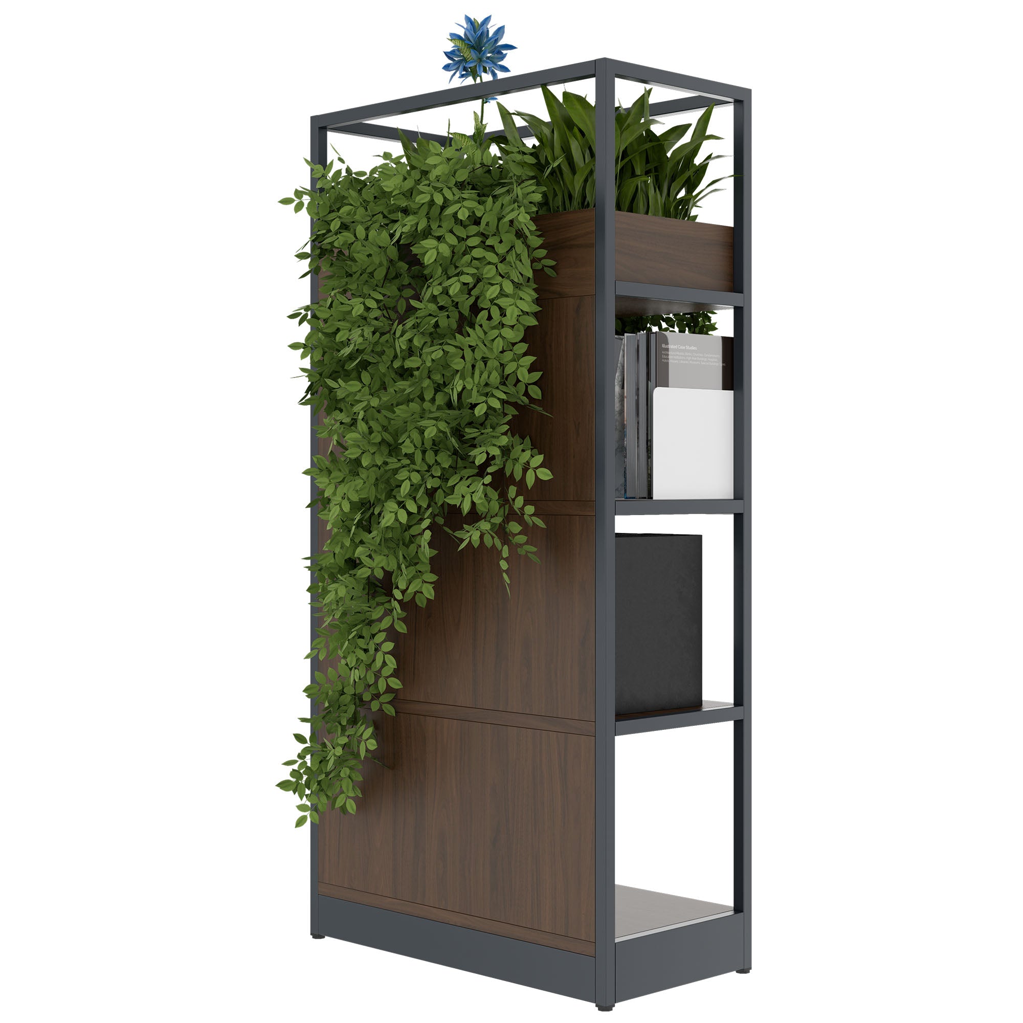 ATELLA shelf cabinet | 4 OH, 800 x 1610 mm, walnut
