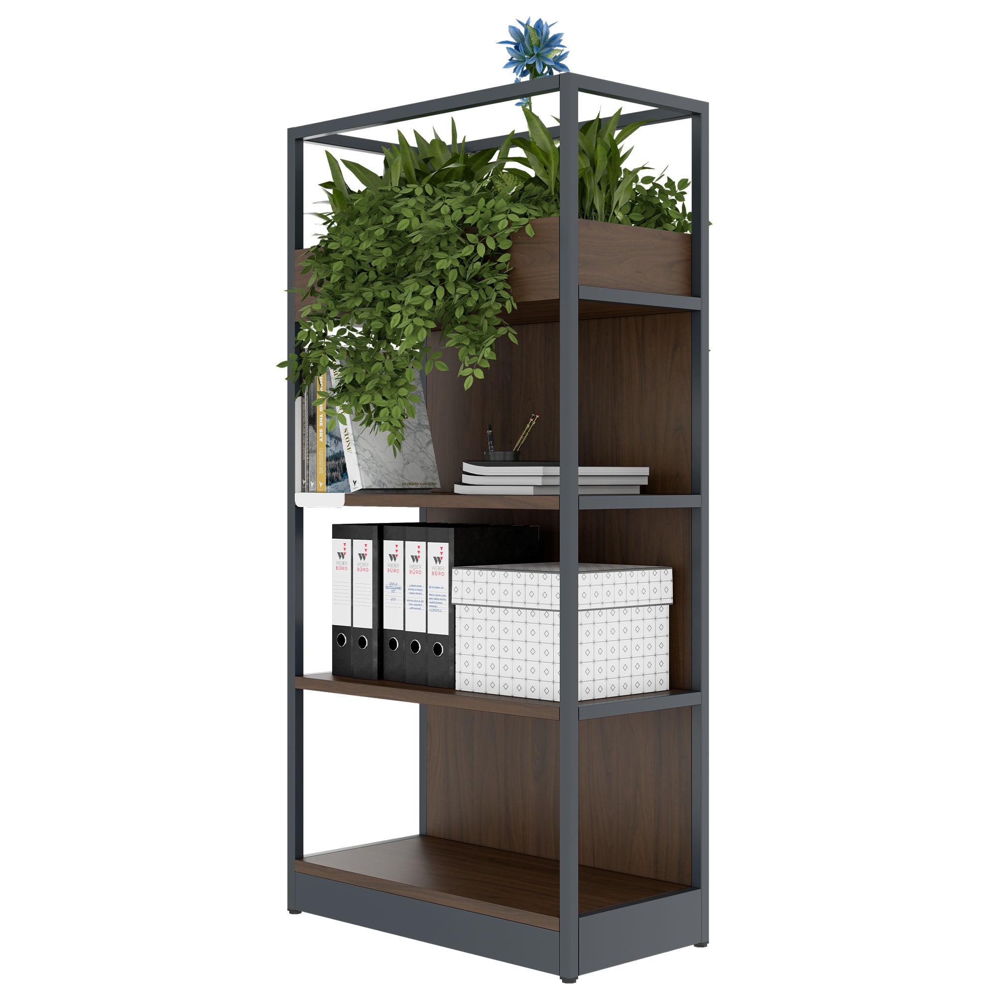 ATELLA shelf cabinet | 4 OH, 800 x 1610 mm, walnut
