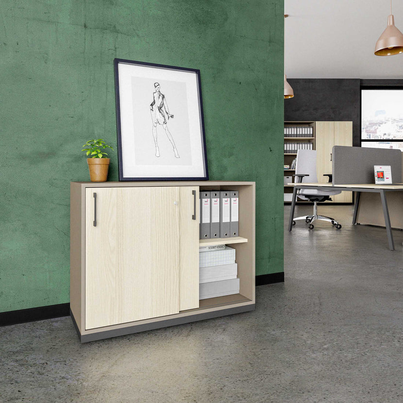 CHOICE Armoire de porte coulissante | 2 oh, 1000 x 760 mm, cendres gris / sable cubanite