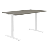 ONE H Desk | Manually height adjustable, 1600 x 700 mm, Cubanite gray