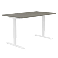 ONE H Desk | Manually height adjustable, 1600 x 800 mm, Cubanite gray