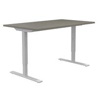 ONE H Desk | Manually height adjustable, 1600 x 800 mm, Cubanite gray