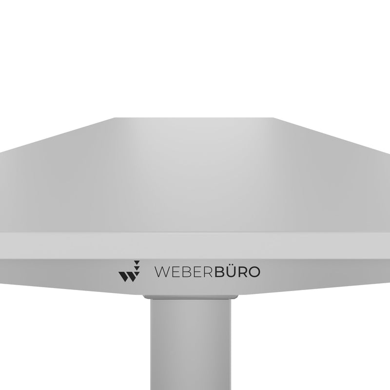 TELDRA Home, 2-motor desk | 1200 - 1400 mm, electrically height adjustable, pearl gray - 4 Main Image