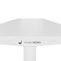 TELDRA Home, 2-motor desk | 1200 - 1600 mm, electrically height adjustable, white - 5 Thumbnail Image