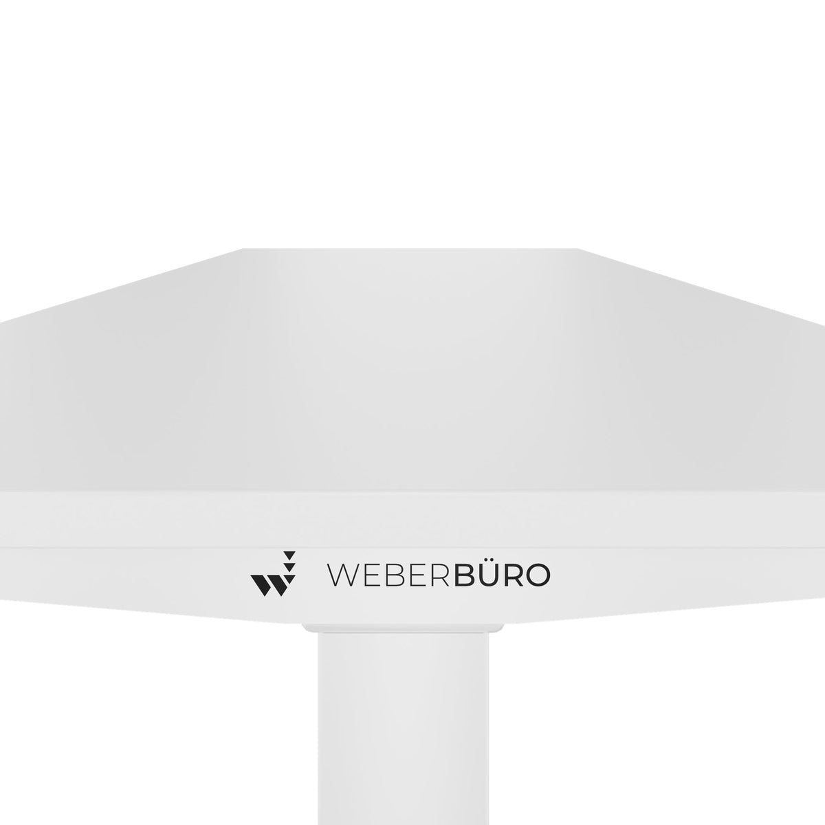 TELDRA Home, 2-motor desk | 1200 - 1600 mm, electrically height adjustable, white - 5 Lightbox Main Image