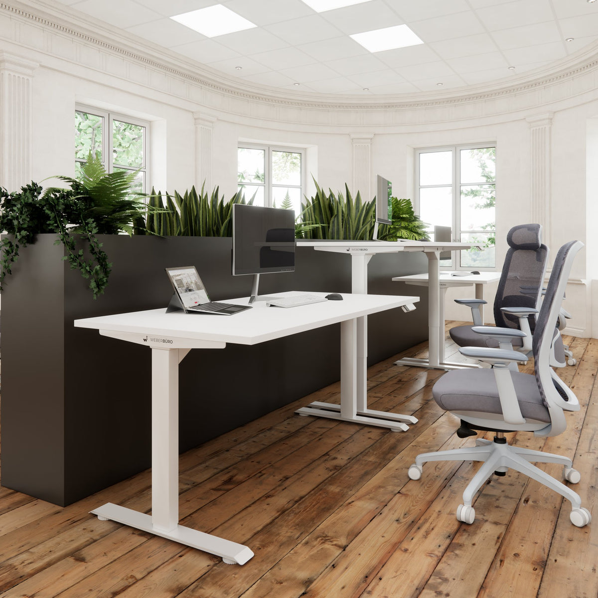 TELDRA Home, 2-motor desk | 1200 - 1600 mm, electrically height adjustable, white - 8 Lightbox Main Image