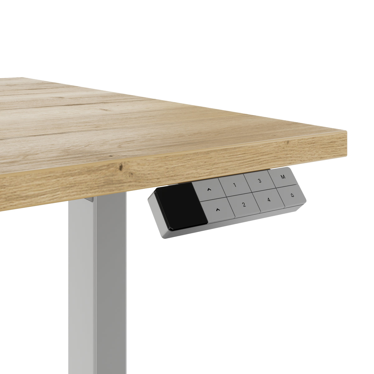 TELDRA Home, 2-Motoren-Schreibtisch | 1600 x 800 mm, elektrisch höhenverstellbar,            Wildeiche