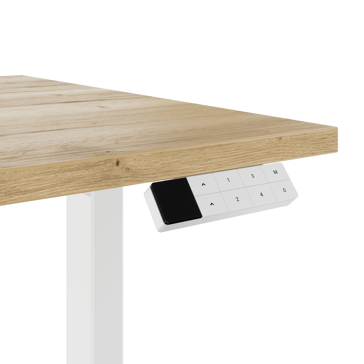 TELDRA Home, 2-Motoren-Schreibtisch | 1600 x 800 mm, elektrisch höhenverstellbar,            Wildeiche