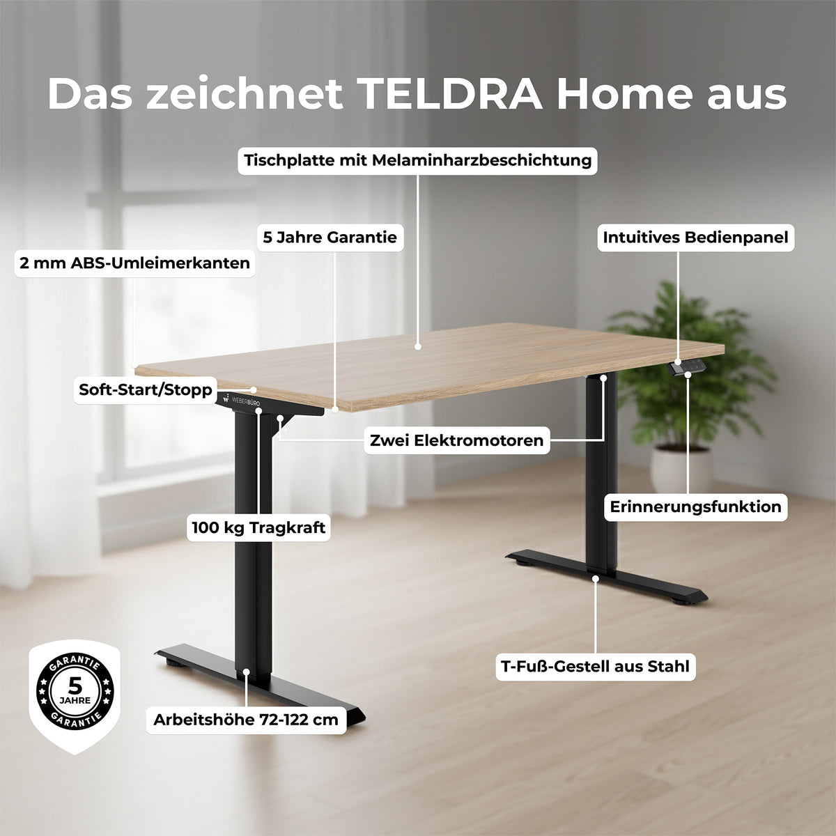 TELDRA Home, 2-Motoren-Schreibtisch | 1600 x 800 mm, elektrisch höhenverstellbar,            Wildeiche - 10 Lightbox Main Image