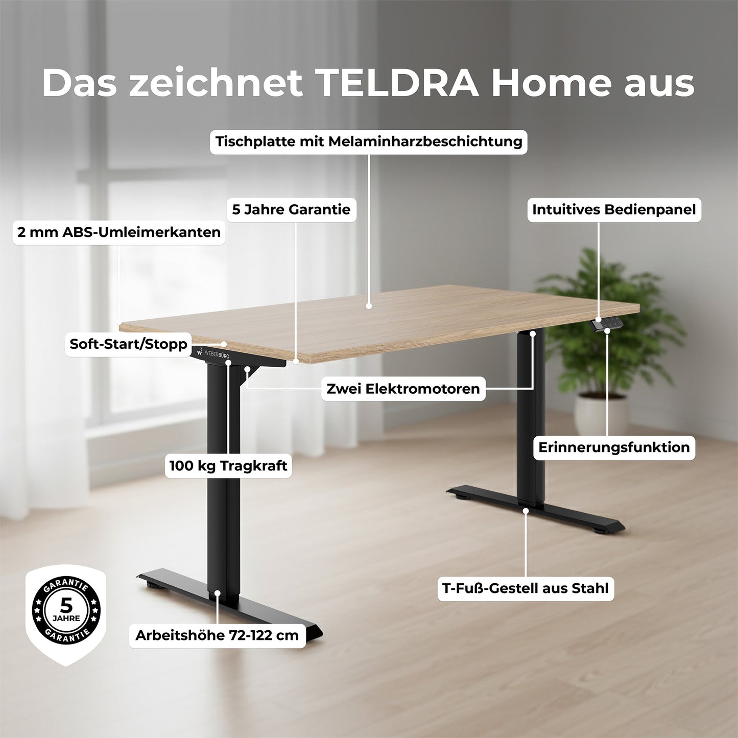 TELDRA Home, 2-Motoren-Schreibtisch | 1600 x 800 mm, elektrisch höhenverstellbar,            Wildeiche
