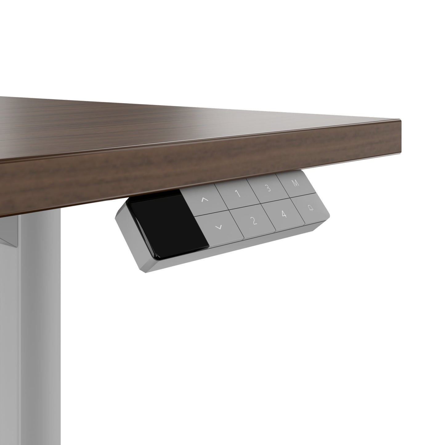 TELDRA Home, 2-motor desk | 1600 x 800 mm, electrically height adjustable, walnut