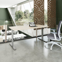 TELDRA Home, 2-motor desk | 1600 x 800 mm, electrically height adjustable, sand ash