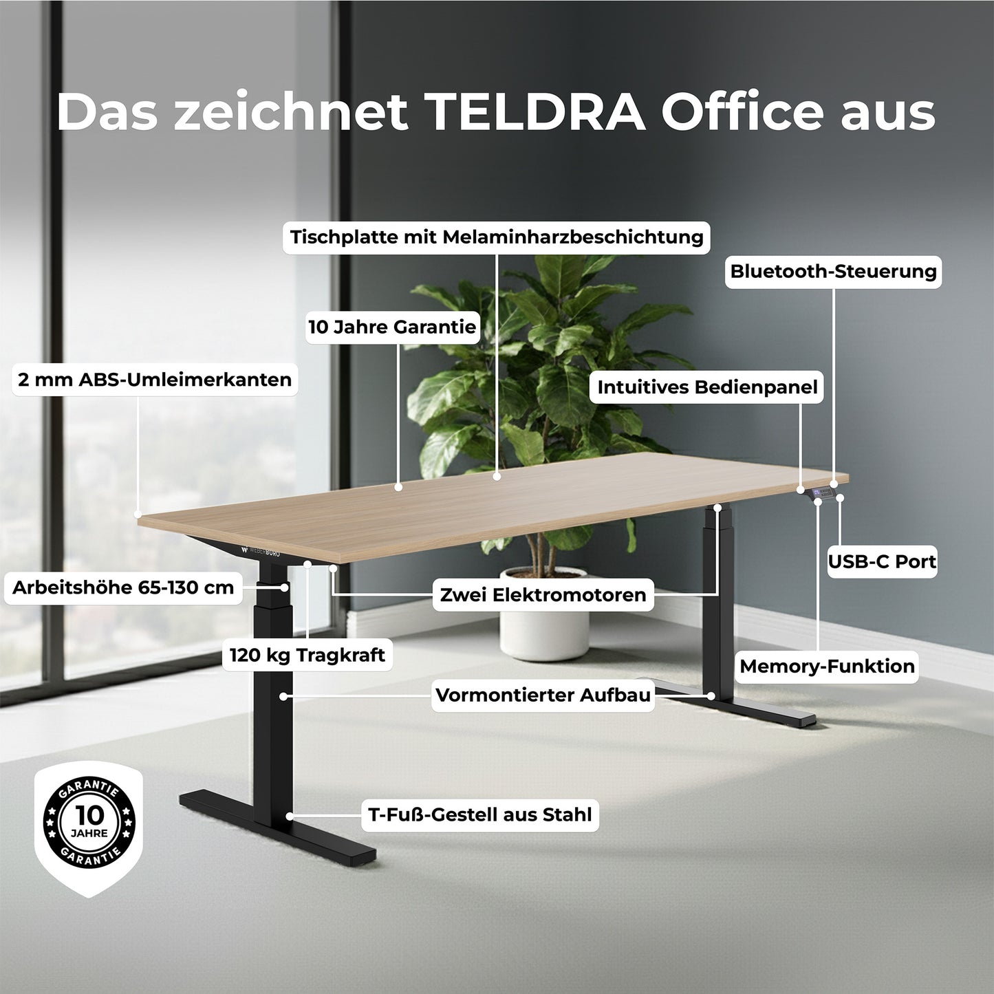 TELDRA Office, Bureau à 2 moteurs | 1200 - 2000 x 800 mm, réglable à hauteur électrique, chêne ambre