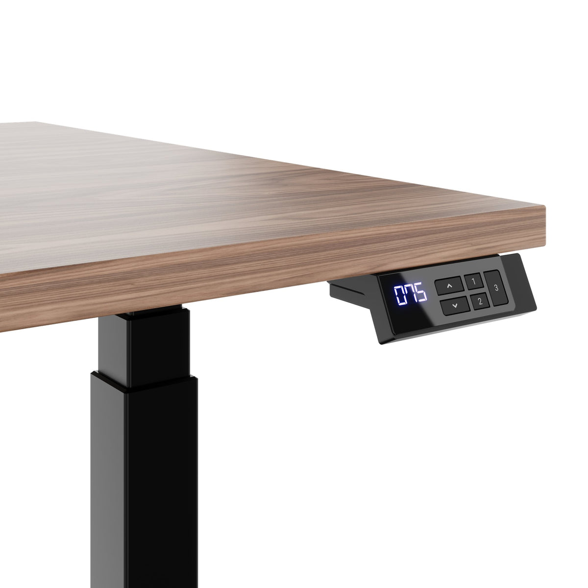 TELDRA Office, scrivania a 2 motori | 1600 - 1800 mm, regolabile elettricamente in altezza, impiallacciatura in vero legno noce 