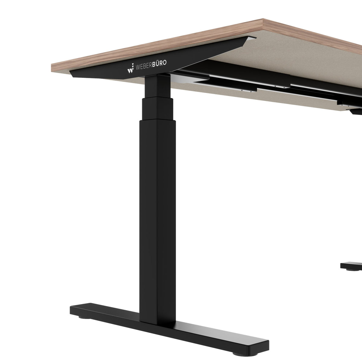 TELDRA Office, scrivania a 2 motori | 1600 - 1800 mm, regolabile elettricamente in altezza, impiallacciatura in vero legno noce 