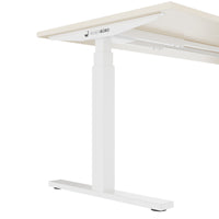 TELDRA Office, 2-motor desk | 1600 - 1800 x 800 mm, electrically height adjustable, maple