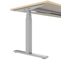 TELDRA Office, 2-motor desk | 1600 - 1800 x 800 mm, electrically height adjustable, real wood veneer oak