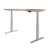 TELDRA Office, 2-motor desk | 1600 - 1800 x 800 mm, electrically height adjustable, real wood veneer walnut