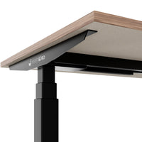 TELDRA Office, 2-motor desk | 1600 - 1800 x 800 mm, electrically height adjustable, real wood veneer walnut