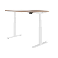 TELDRA Office, 2-motor desk | 1600 - 1800 x 800 mm, electrically height adjustable, real wood veneer walnut