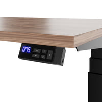 TELDRA Office, 2-motor desk | 1600 - 1800 x 800 mm, electrically height adjustable, real wood veneer walnut