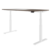 TELDRA Office, 2-motor desk | 1600 - 1800 x 800 mm, electrically height adjustable, walnut