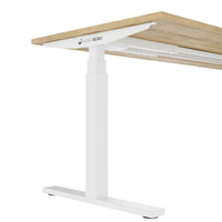 TELDRA Office, 2-Motoren-Schreibtisch | 1600 - 1800 x 800 mm, elektrisch höhenverstellbar, Wildeiche