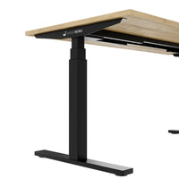 TELDRA Office, 2-Motoren-Schreibtisch | 1600 - 1800 x 800 mm, elektrisch höhenverstellbar, Wildeiche