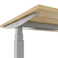 TELDRA Office, 2-Motoren-Schreibtisch | 1600 - 1800 x 800 mm, elektrisch höhenverstellbar, Wildeiche
