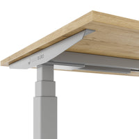 TELDRA Office, 2-Motoren-Schreibtisch | 1600 - 1800 x 800 mm, elektrisch höhenverstellbar, Wildeiche