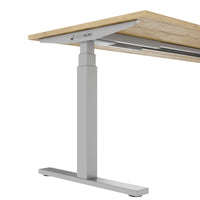 TELDRA Office, 2-Motoren-Schreibtisch | 1600 - 1800 x 800 mm, elektrisch höhenverstellbar, Wildeiche