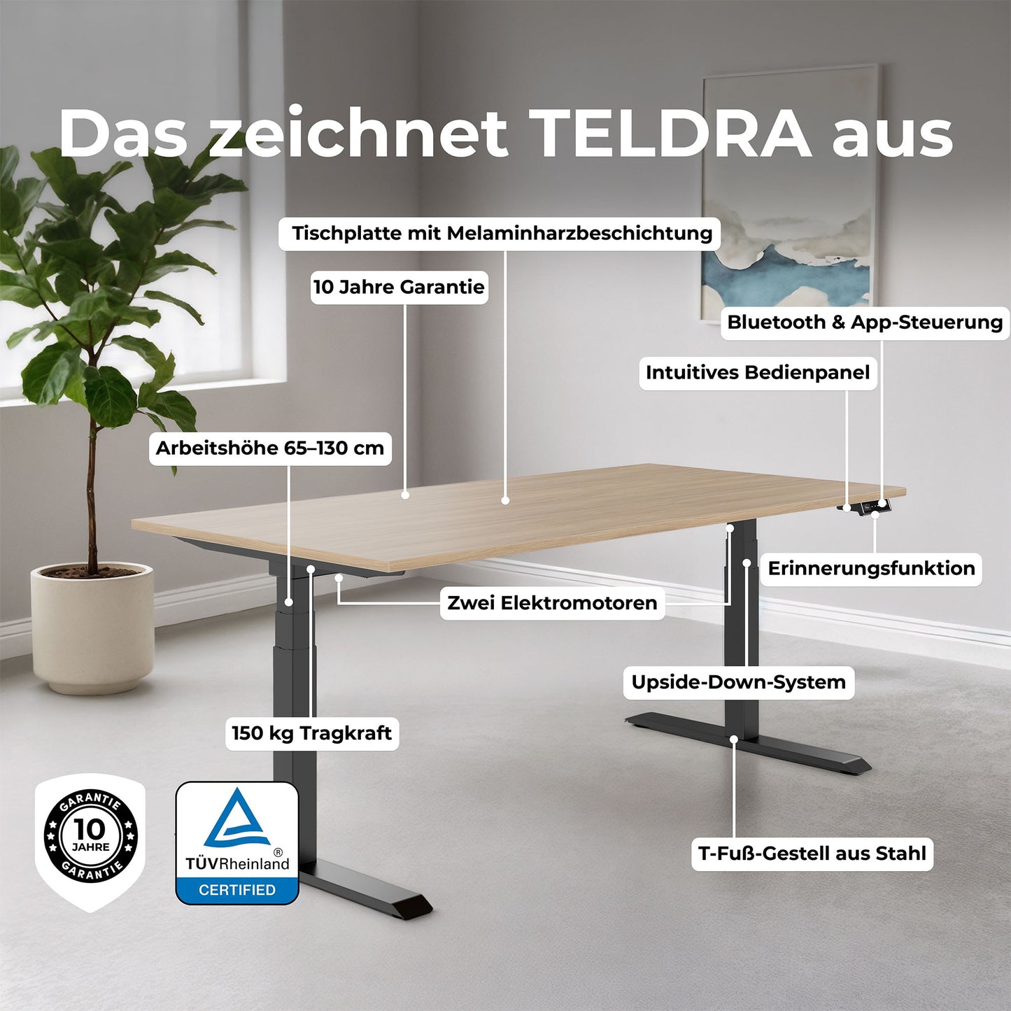 TELDRA Pro, 2-Motoren-Schreibtisch | 1200 - 2000 mm, elektrisch höhenverstellbar, Wildeiche