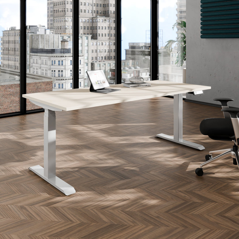 TELDRA Pro, Desk a 2 motori | 1600 - 1800 mm, regolabile in altezza elettricamente, acero
