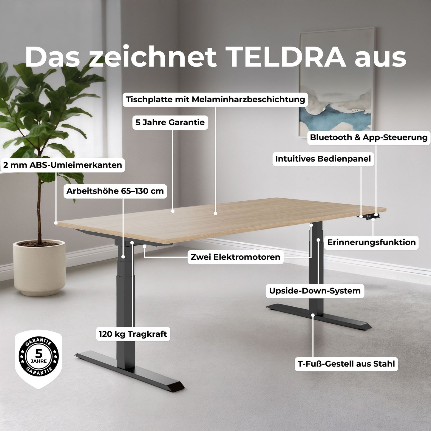 TELDRA Pro, Desk a 2 motori | 1600 - 1800 mm, regolabile in altezza elettricamente, grigio di quercia nordica