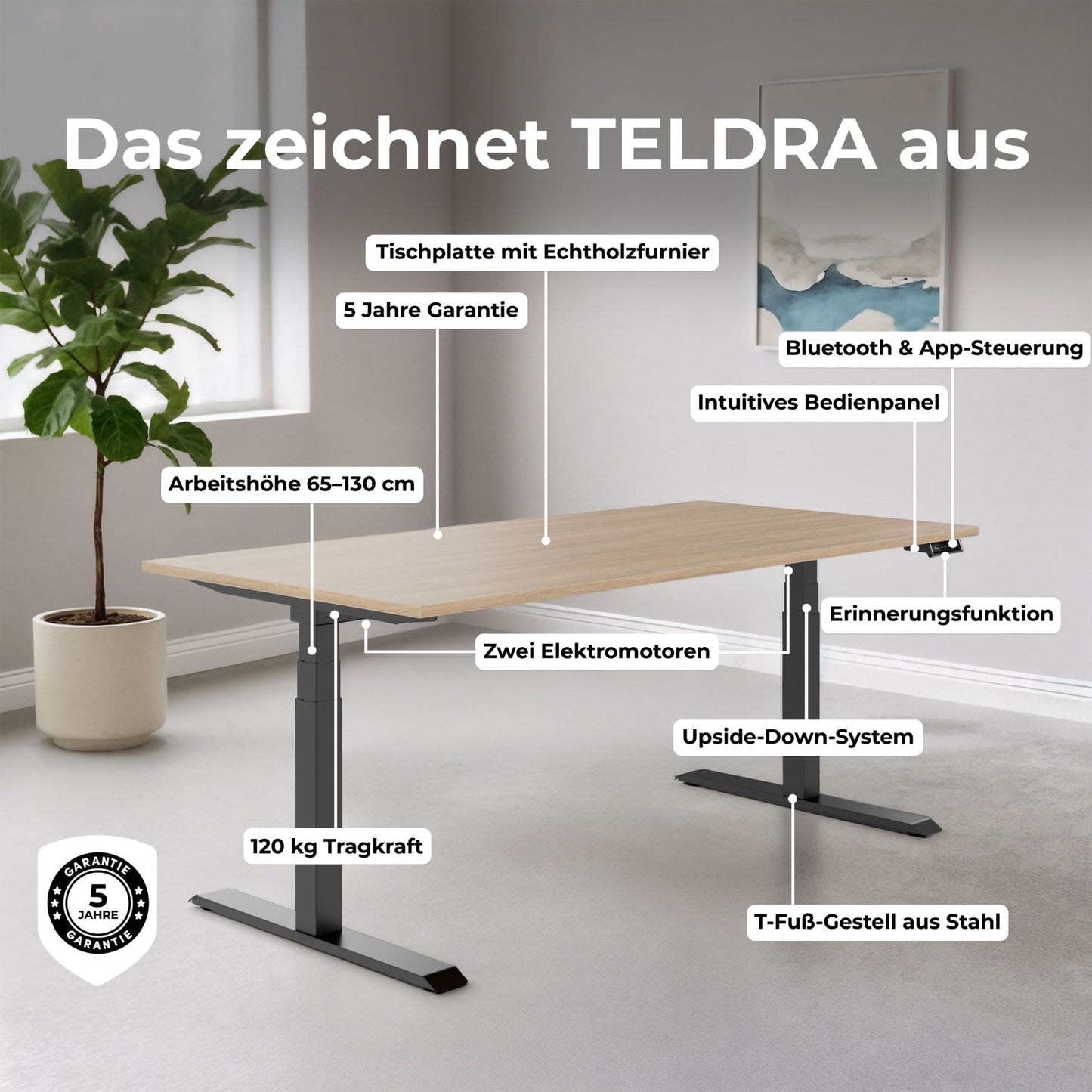 TELDRA Pro, Desk a 2 motori | 1600 - 2000 mm, regolabile in altezza elettricamente, vera quercia in legno in legno