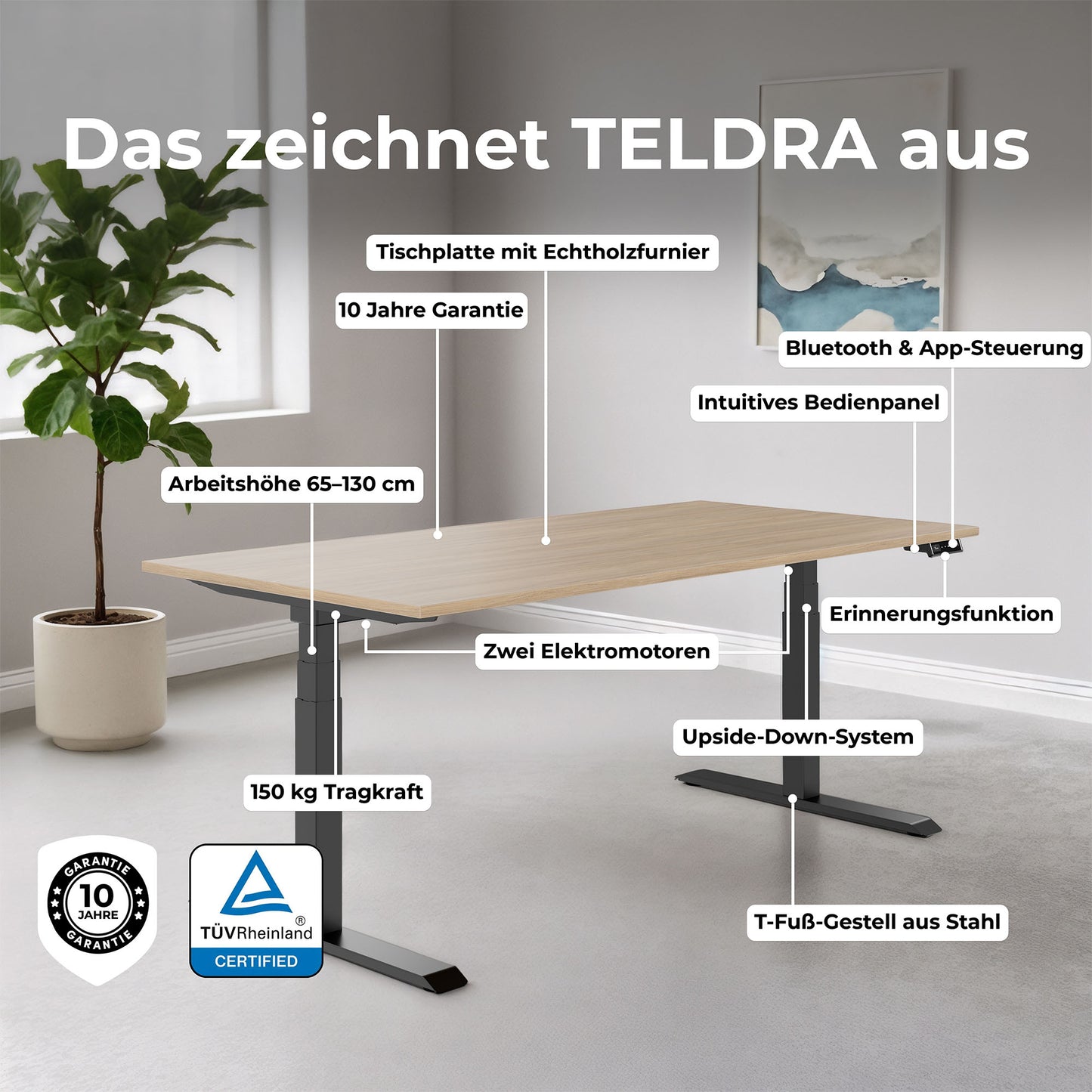 TELDRA Pro, Bureau à 2 moteurs | 1600 - 2000 mm, réglable à la hauteur électrique, en placage en bois réel noix